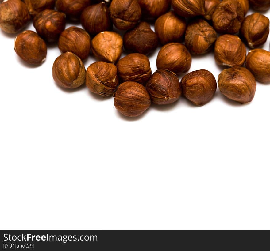 Many Hazelnuts Isolated