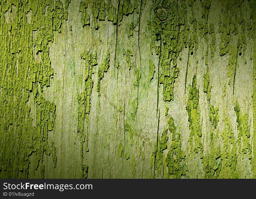 Green dirty material as texture