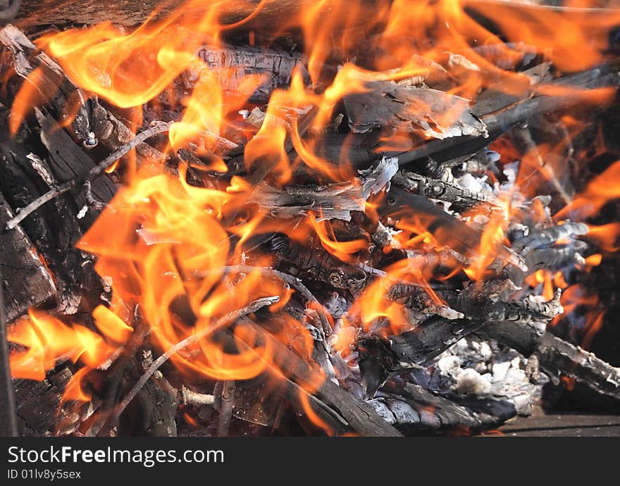 Fiery branch as a background. Fiery branch as a background.