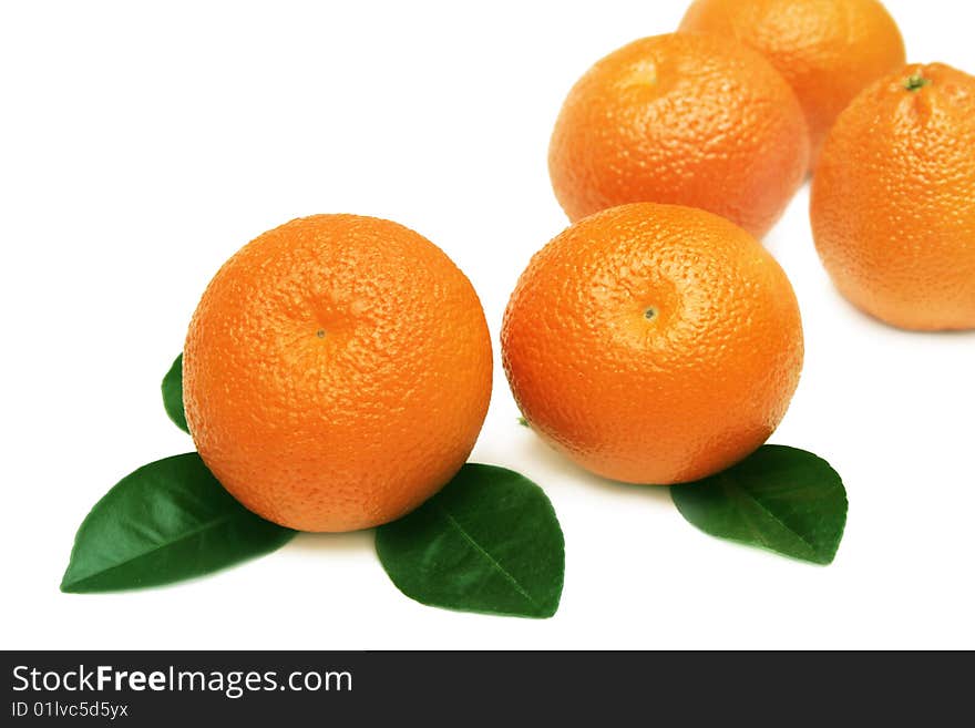 Tangerines isolated on white background. Tangerines isolated on white background.