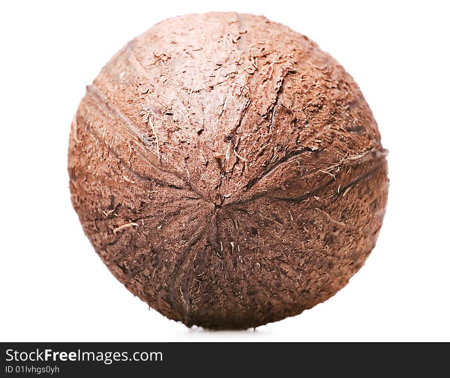 Coconut isolated on white background