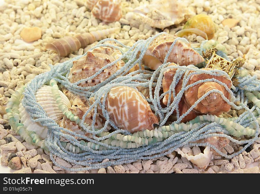 Necklace on seashells