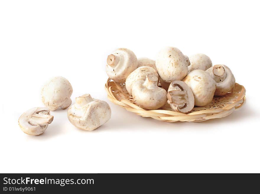 Mushrooms on a white background