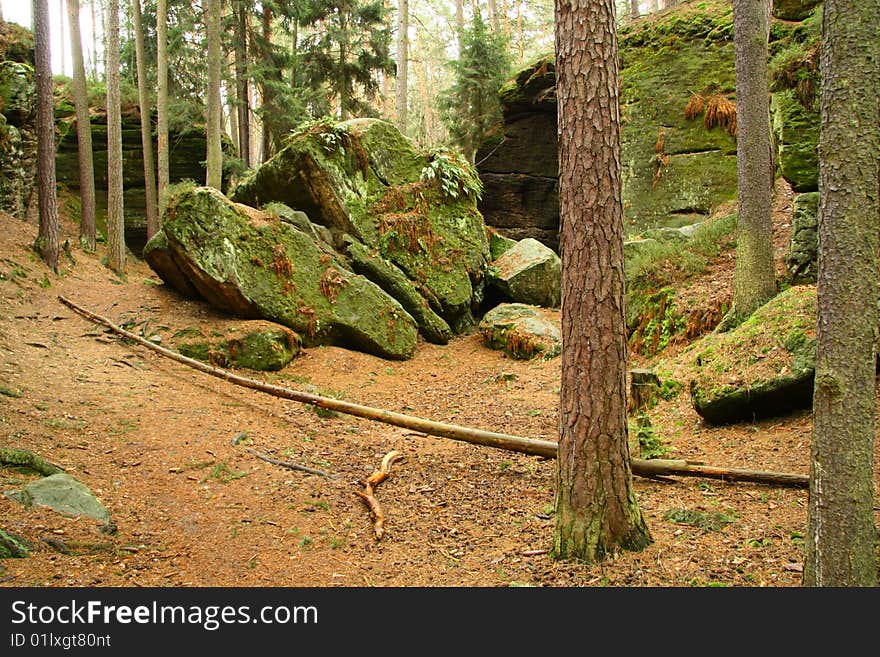 Stones and trees in czech forest