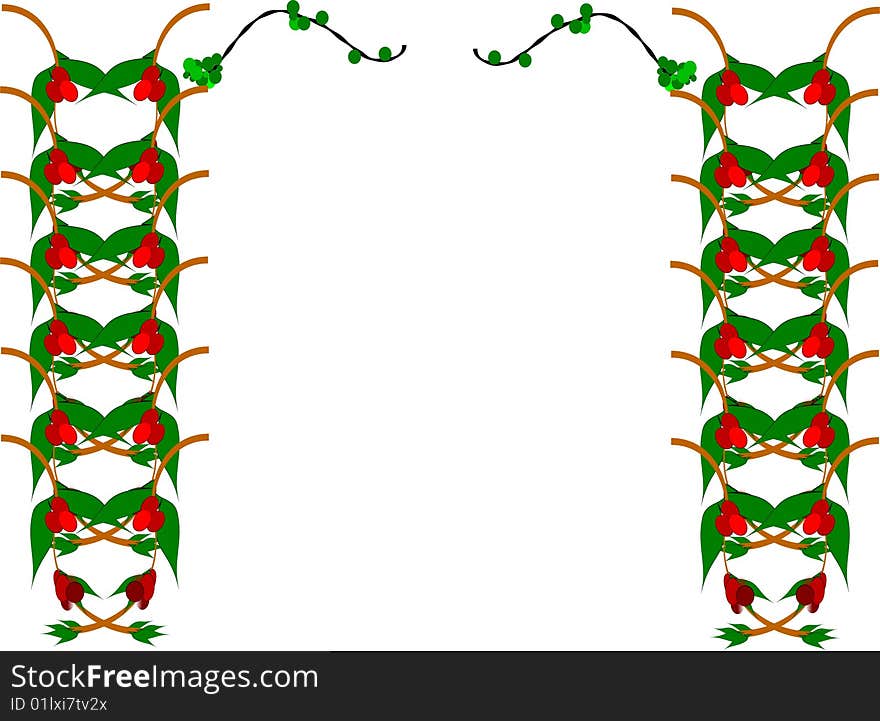 Elements for design using mistletoe on white. Elements for design using mistletoe on white