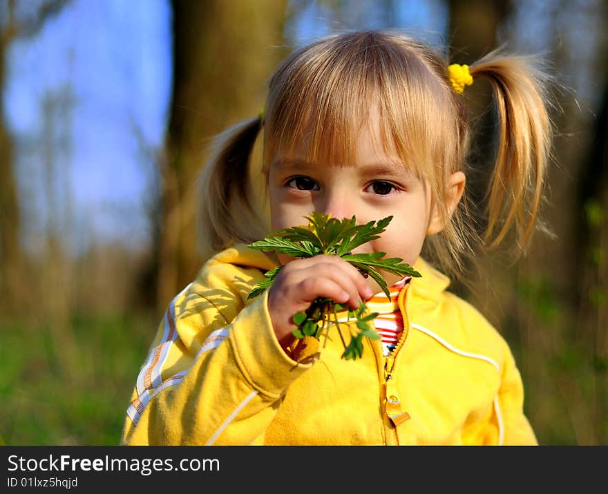 Little Girl And Wild Flowers