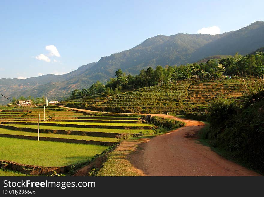 Mountain landsape in Sapa, Vietnam. Mountain landsape in Sapa, Vietnam