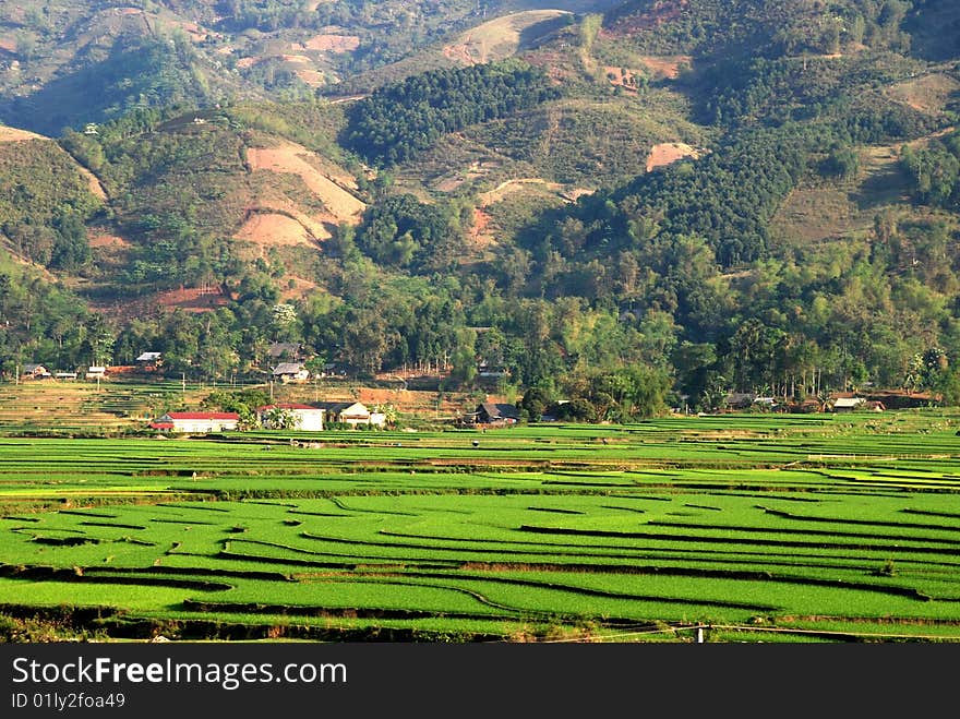 Village in the terrace field