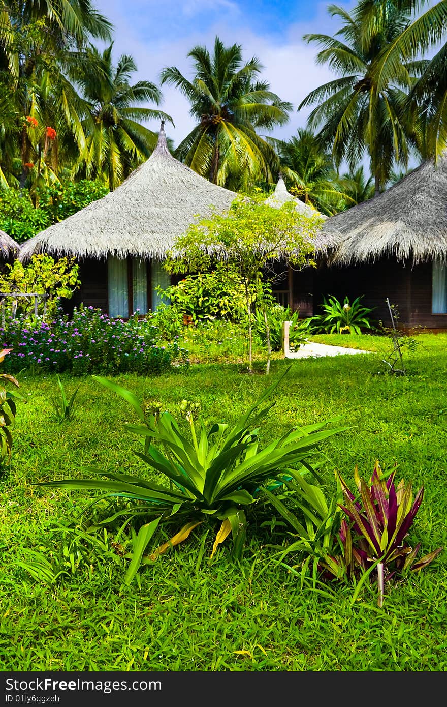 Bungalows and flowers - vacation background