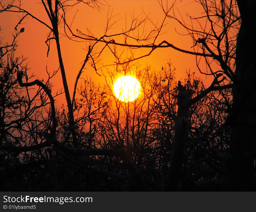 Pench Sunset