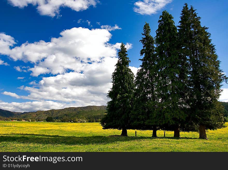 Pure Sky, Pure Meadow