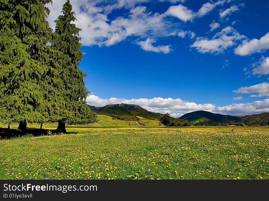 Pure Sky, Pure Meadow