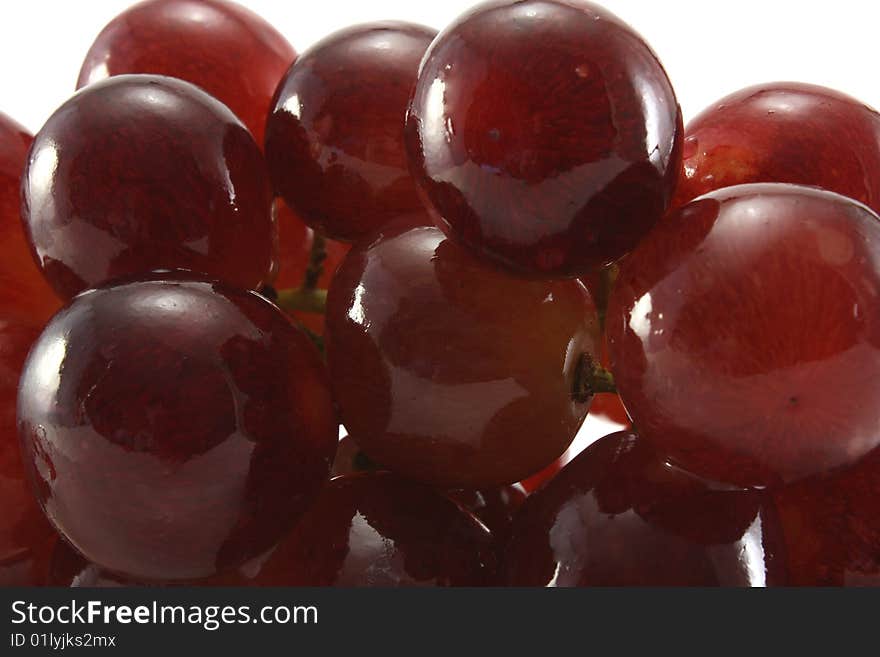 Red vine on a white background