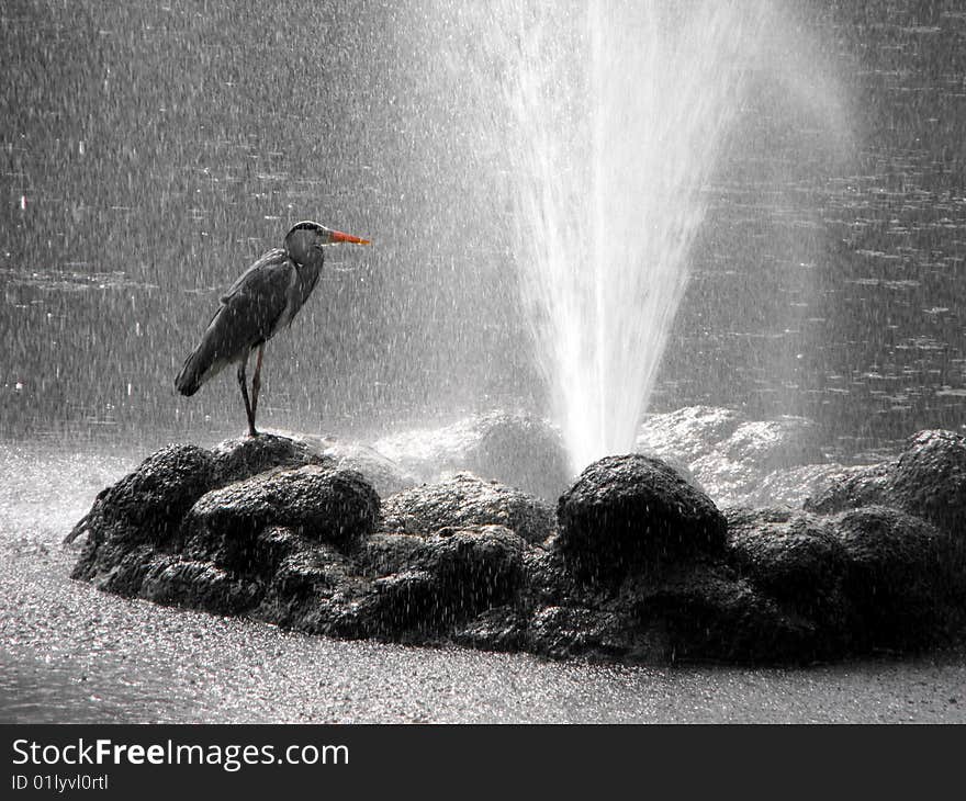 Heron and water jet.