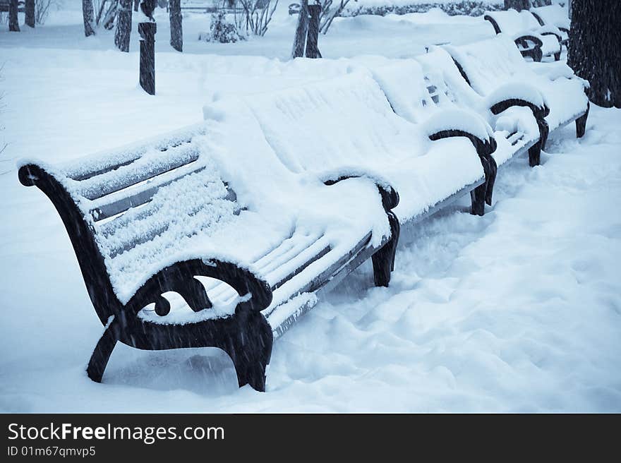 Snow covered benches in the winter park