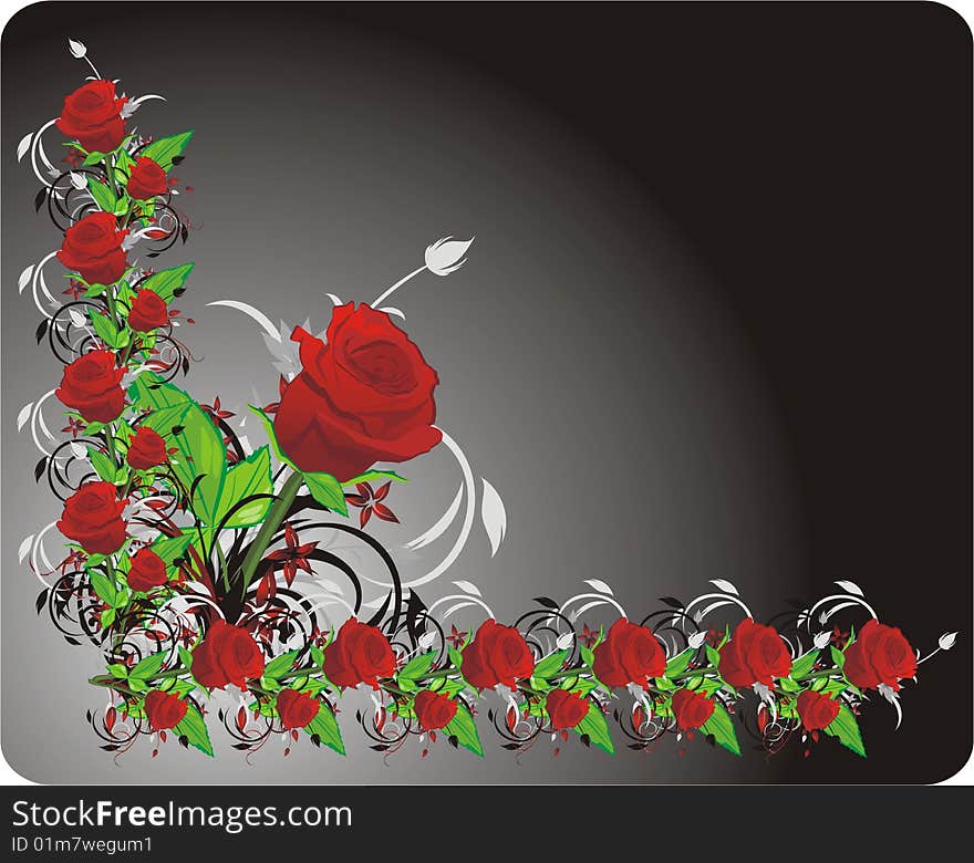 Red rose. Decorative frame. Vector illustration