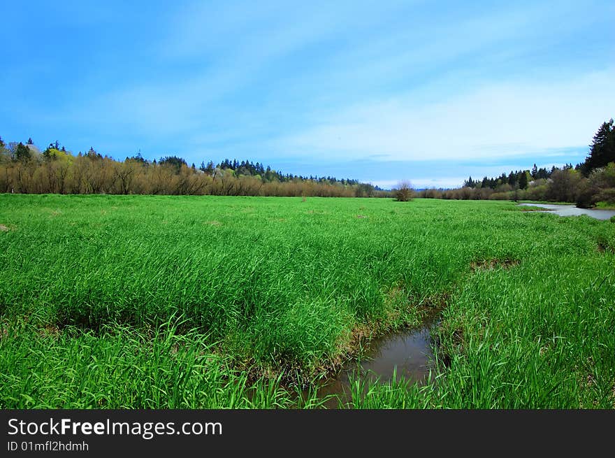 View across marshland on Salmon Creek Greenway. View across marshland on Salmon Creek Greenway