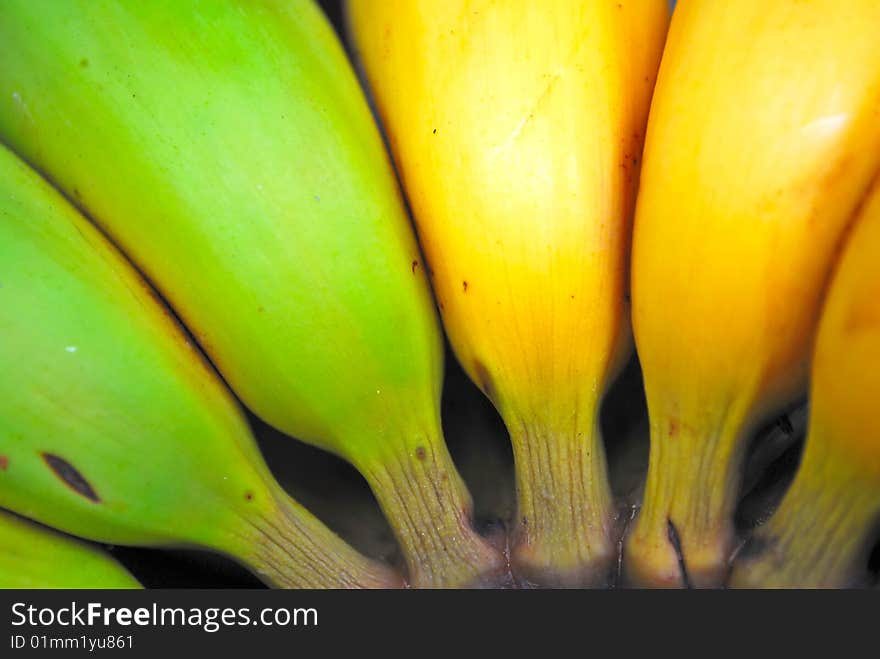 Close up shot of green and yellow bananas