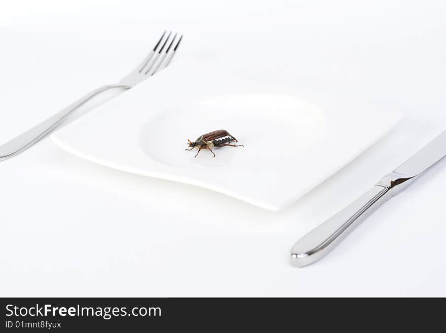 Table prepared for dinner with a chafer beetle sitting on plate. Table prepared for dinner with a chafer beetle sitting on plate