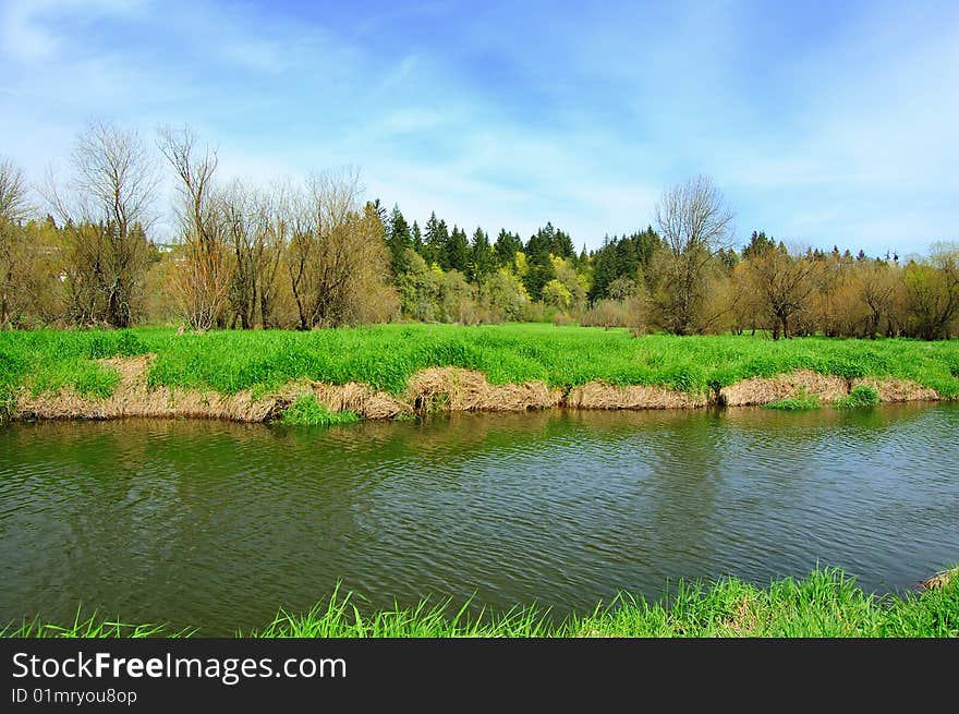 View of Salmon Creek running through grass marsh. View of Salmon Creek running through grass marsh.