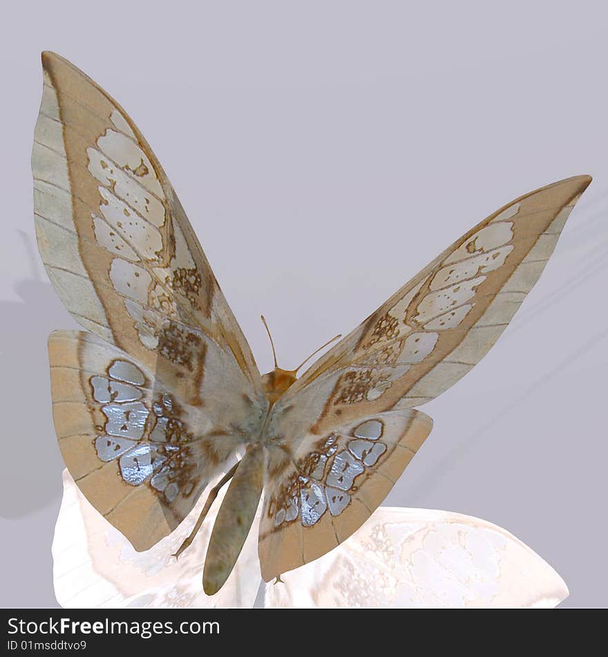 Rendered image of a beautiful butterfly - with Clipping Path. Rendered image of a beautiful butterfly - with Clipping Path