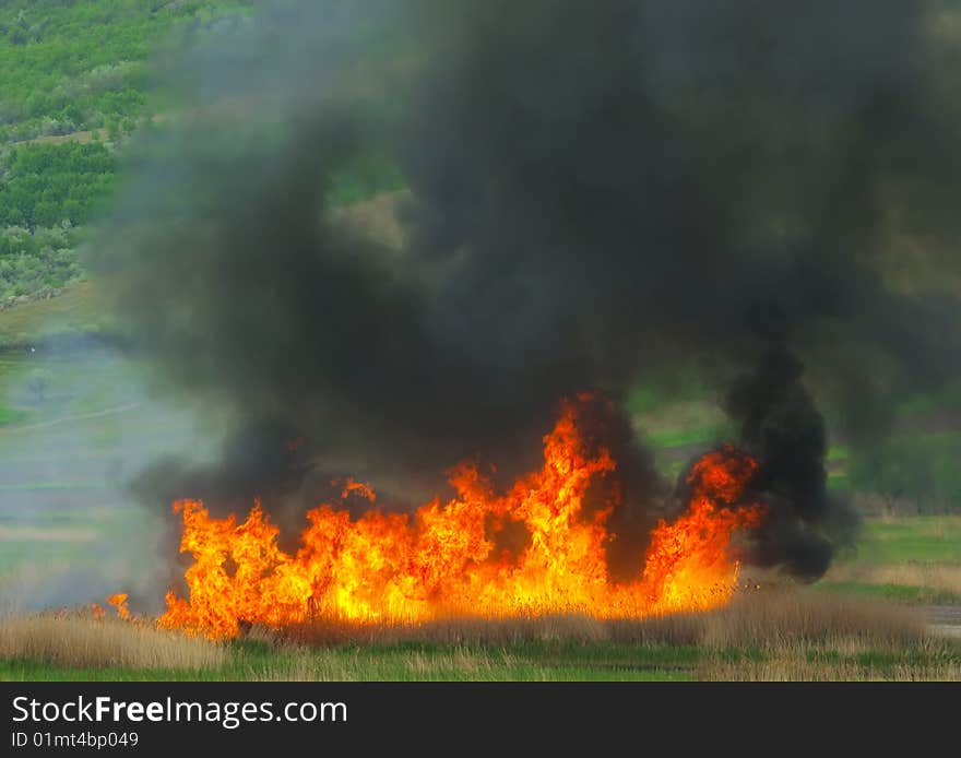 Big fire on a green field. Big fire on a green field