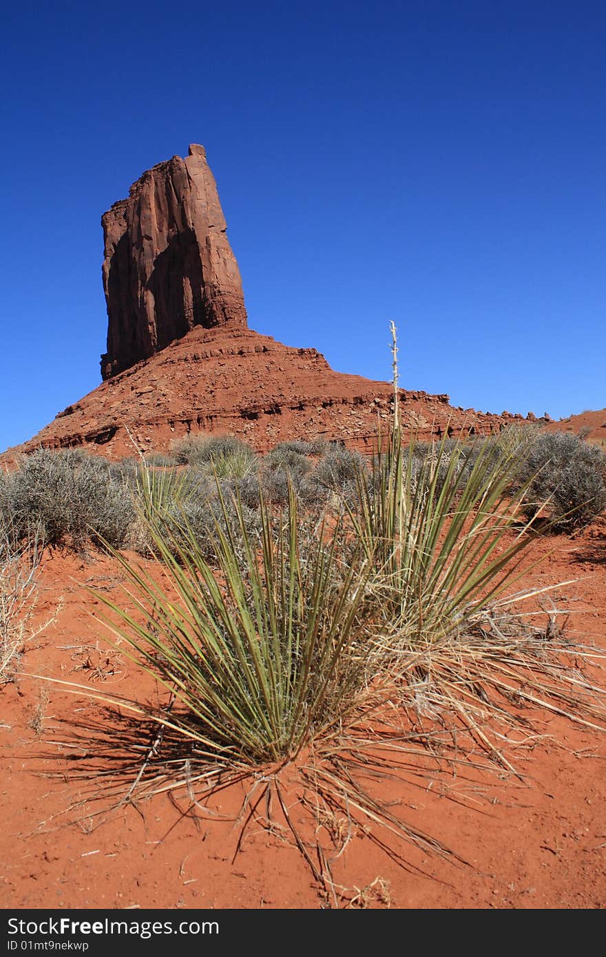 USA, Monument Valley mitten close up and grass