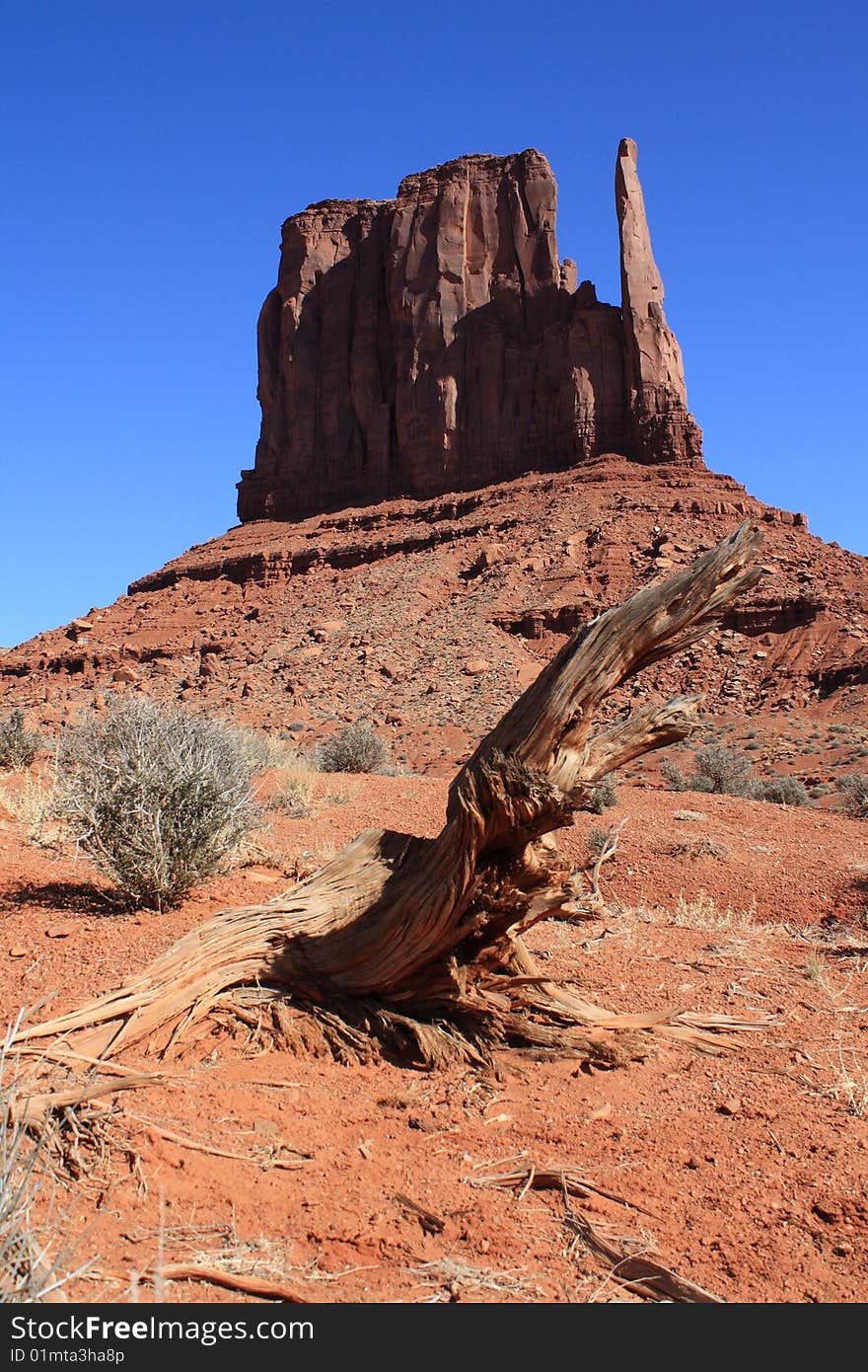 Monument Valley mitten close up with tree trunk