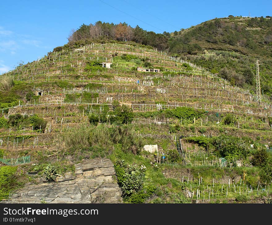 Cinque terre