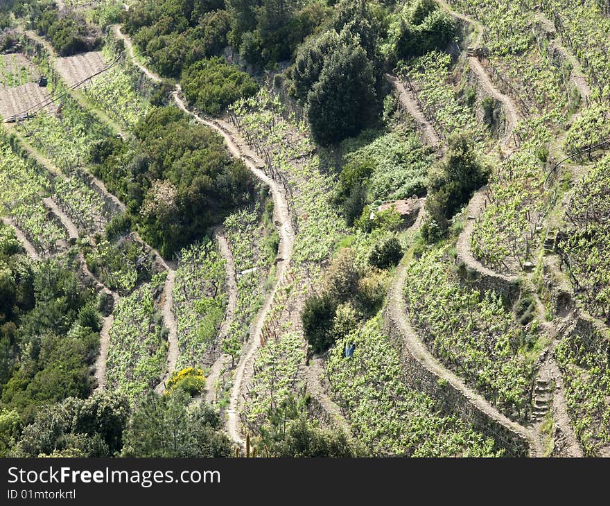 Panoramic view  of cinque terre - italy