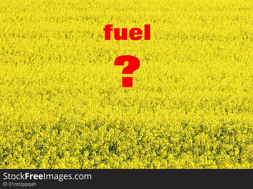 Yellow field of oilseed and text. Yellow field of oilseed and text