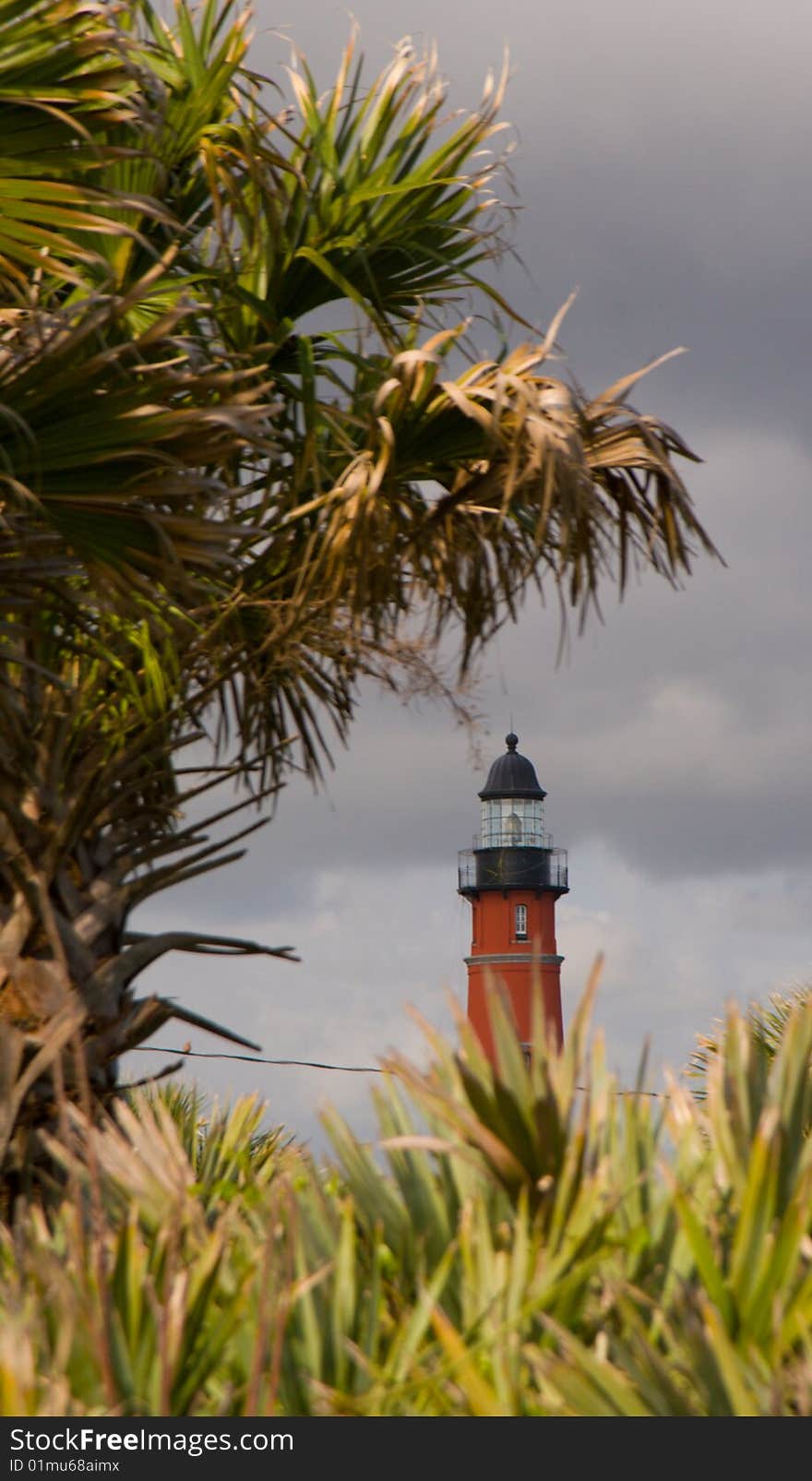 Ponce Inlet Lighthouse stands guard among the palmettos south of Daytona Beach, Florida