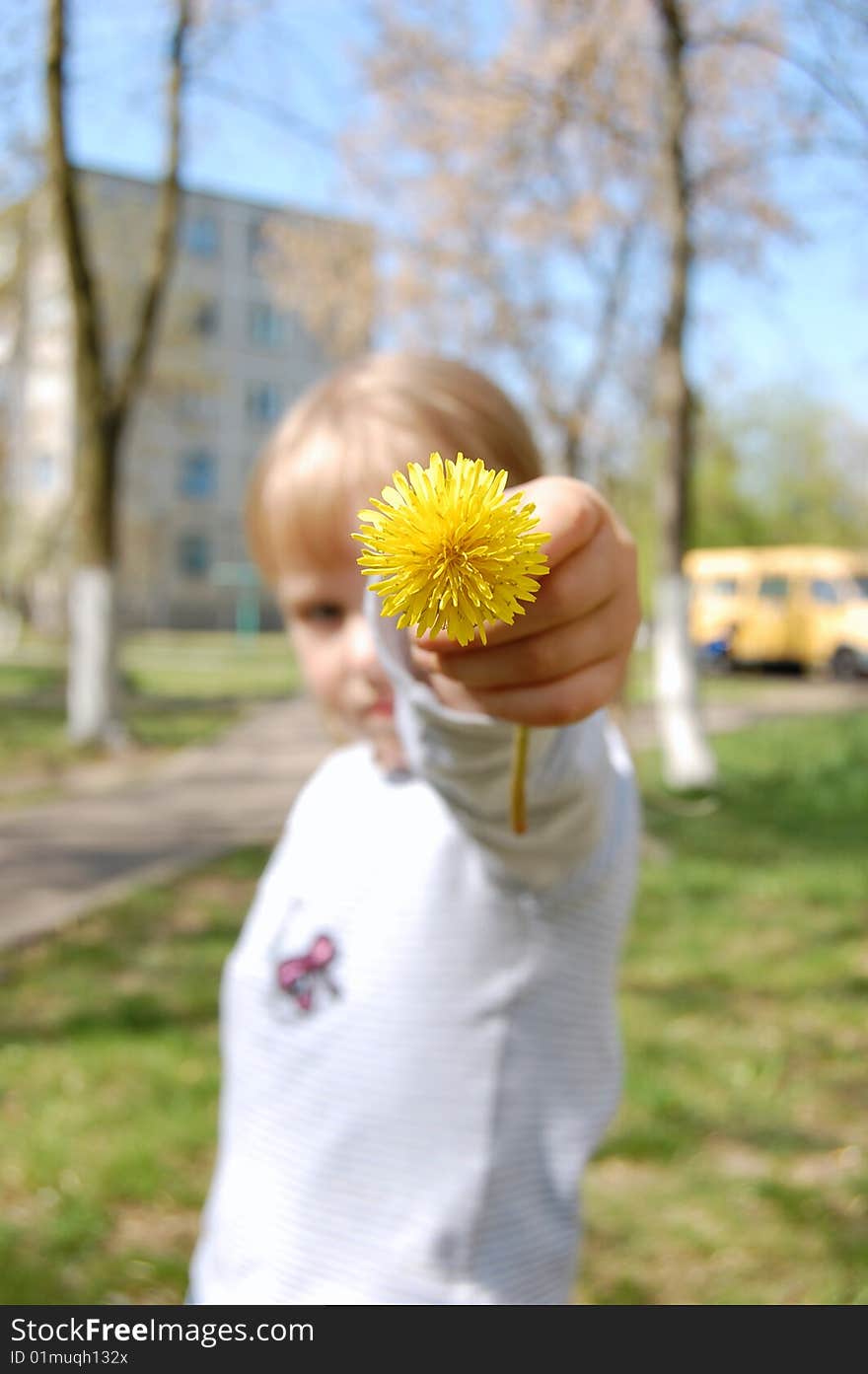 Little beautiful girl handing yellow  dandelion. Little beautiful girl handing yellow  dandelion