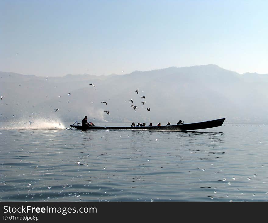 Canoe crossing a river under rain followed by birds.