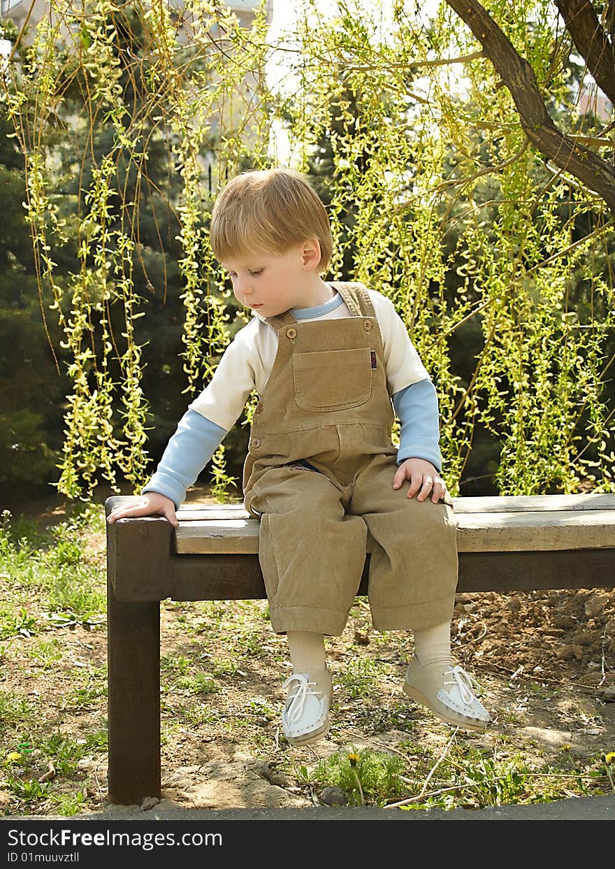 Portrait of the beautiful little boy. Portrait of the beautiful little boy