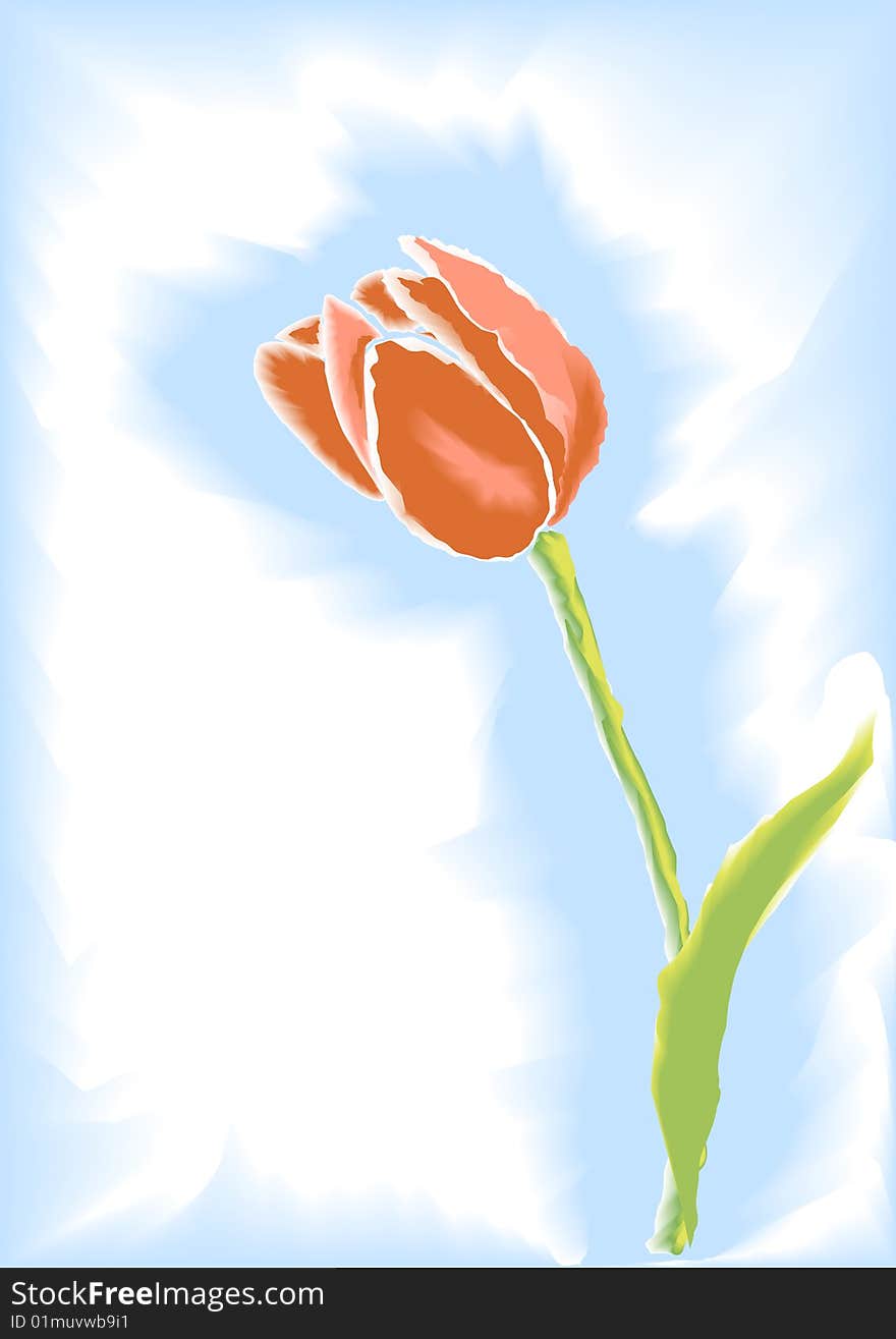 Vector drawing of a tulip watercolor.
