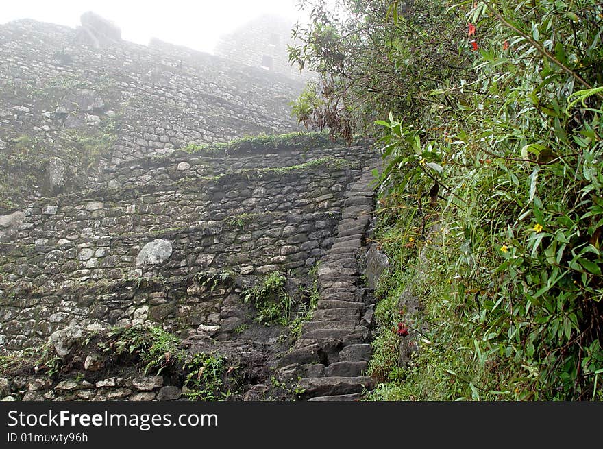 The is near the top of the mounting you see in classic pictures of Macchu Picchu. It is called Wuayna Picchu. The little stones to the right of the photo are the steps. They are tiny. Only my toes would fit on them.