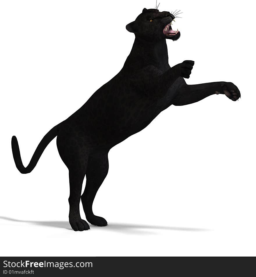 Dangerous Big Cat Black Leopard With Clipping Path Over White. Dangerous Big Cat Black Leopard With Clipping Path Over White