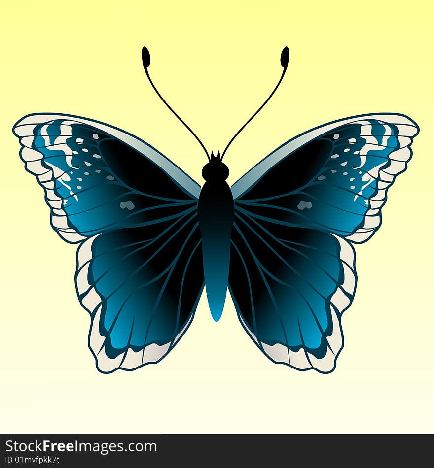 Vector Illustration of detailed Brightly coloured butterfly.