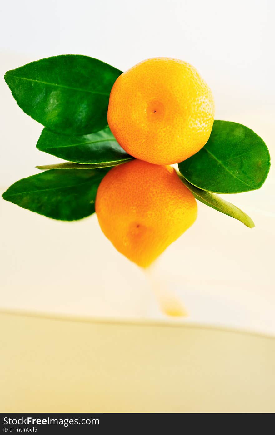 Close-up tangerine with leaves, with its own reflection. Close-up tangerine with leaves, with its own reflection