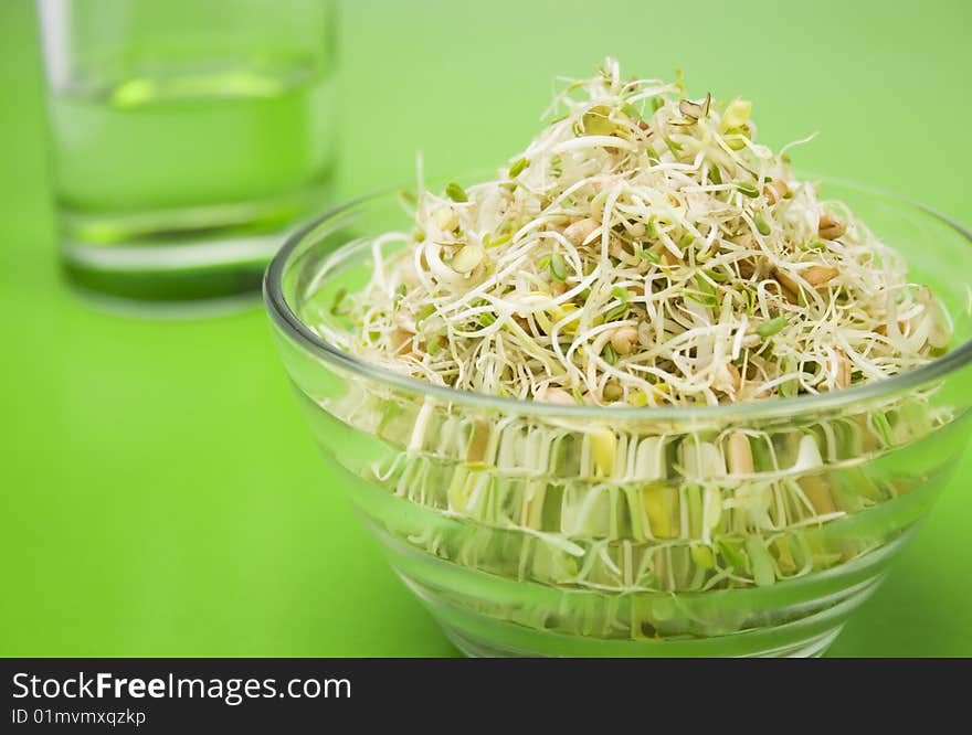 Fresh germ on green table with glass of water