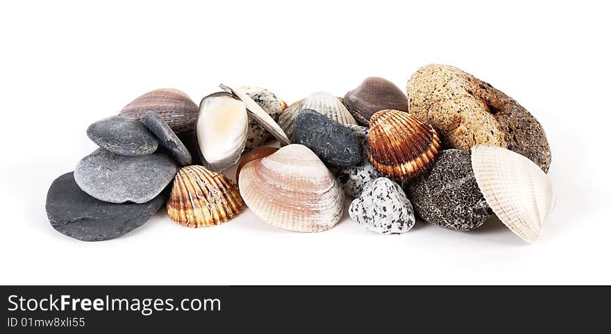 Still life sea shells and stones in horizontal