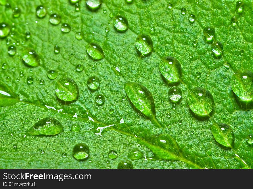 Structure of sheet with morning dew