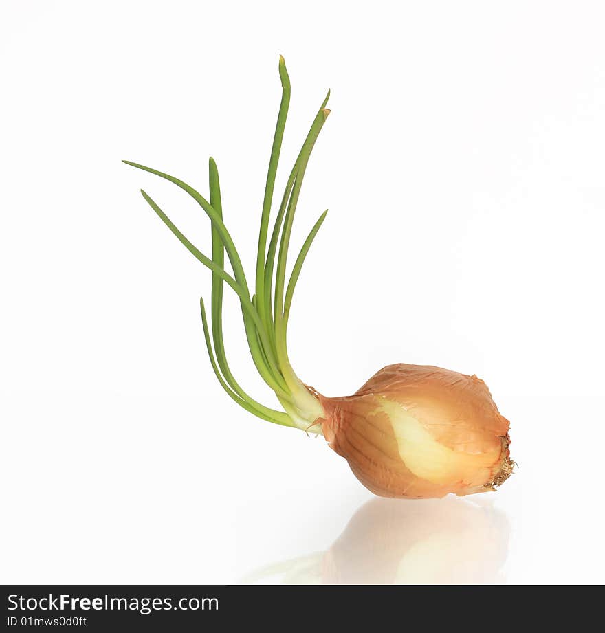 Nice onion isolated on white background with clipping path