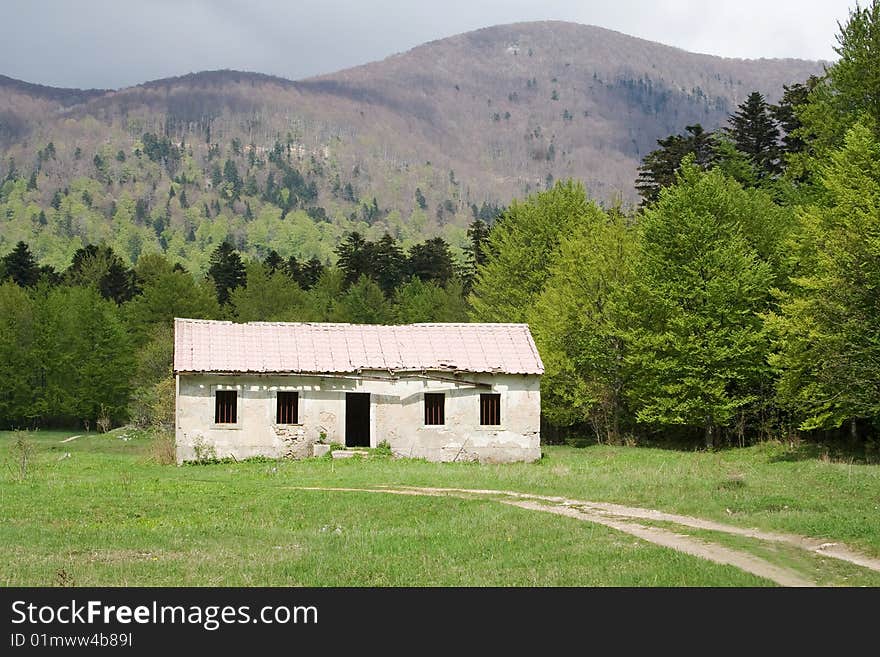 Old rusty house in the middle of the wood