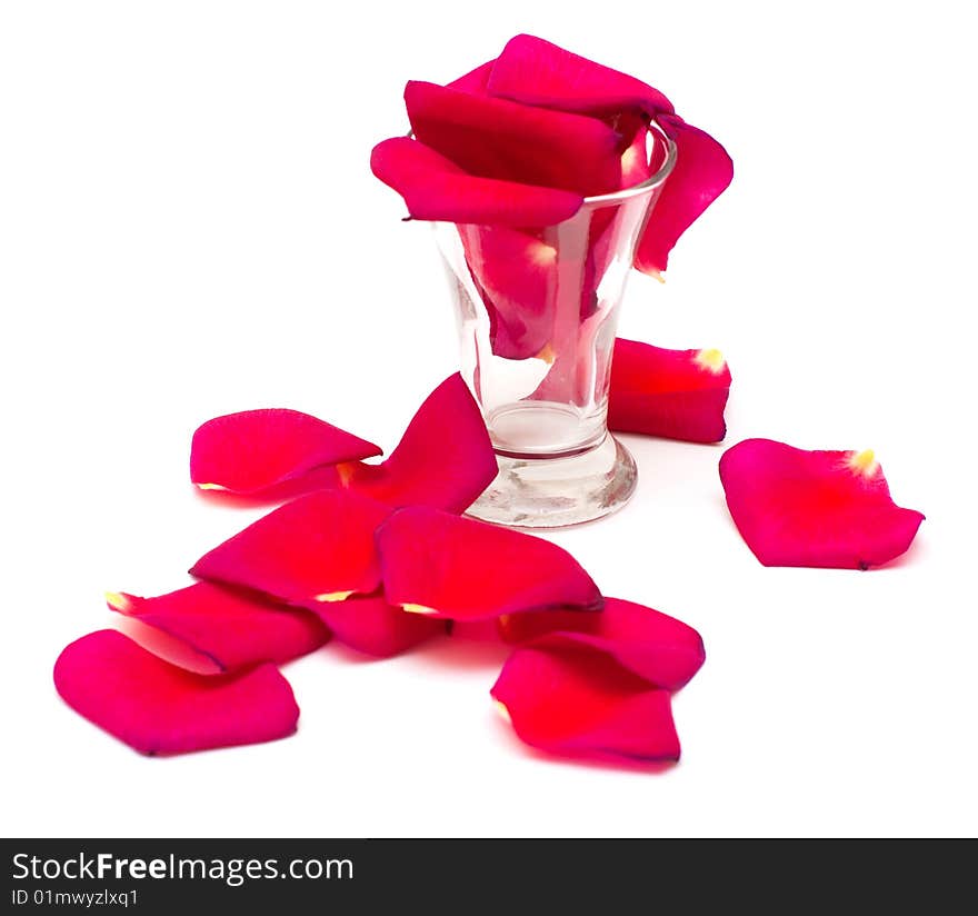 Shot glass and petals of rose isolated