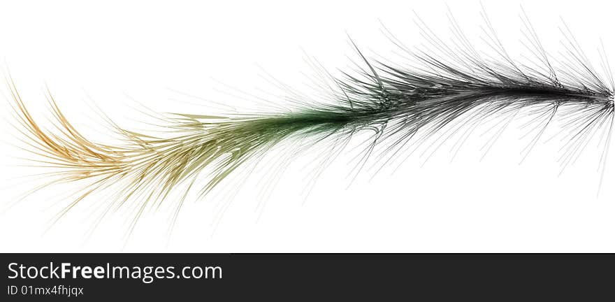 Fur worm or color feather isolated