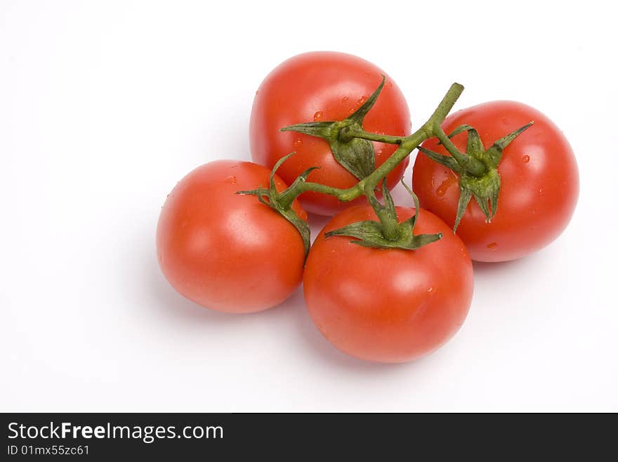 Branch of cherry tomato isolated. Branch of cherry tomato isolated.