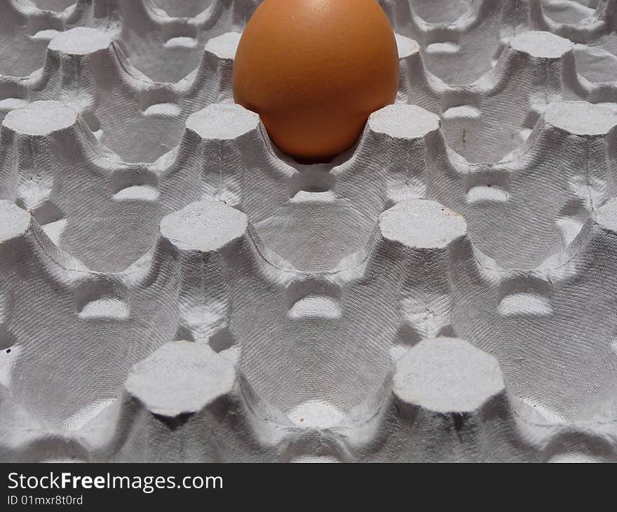 Photograph representing an insulated egg