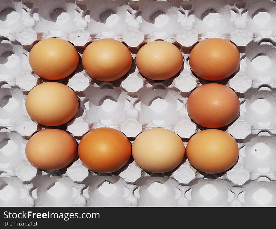 Photograph representing background of  eggs